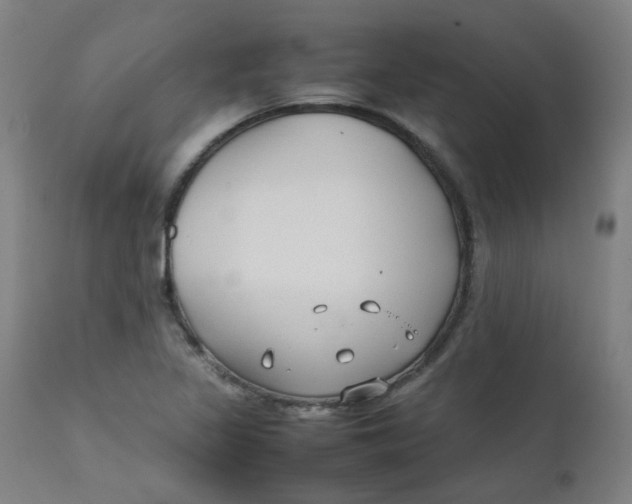 X0000112211317200909041331