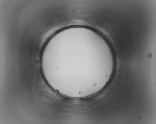 X0000112211318200909041331