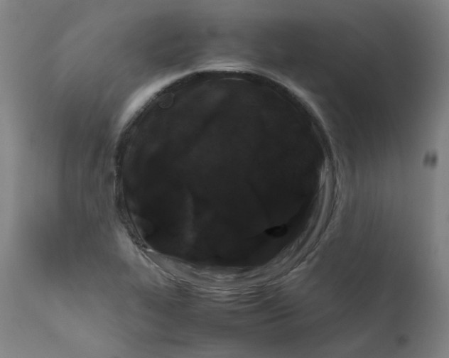 X0000112211319200909041331