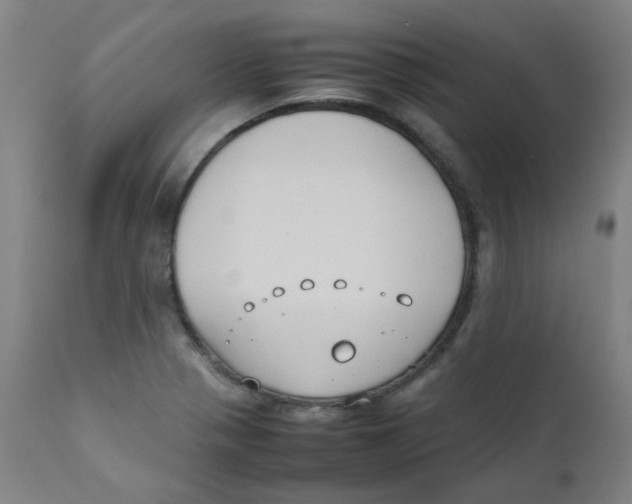 X0000112211321200909041331