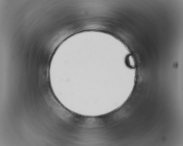 X0000112211322200909041331