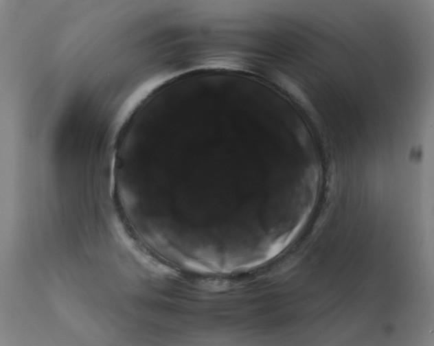 X0000112211323200909041331