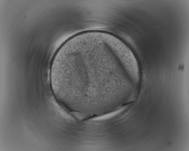 X0000112211324200909041331