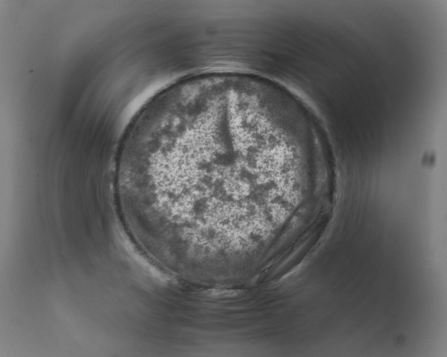 X0000112211325200909041331