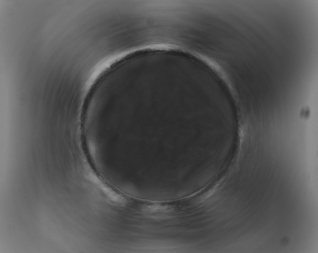 X0000112211327200909041331