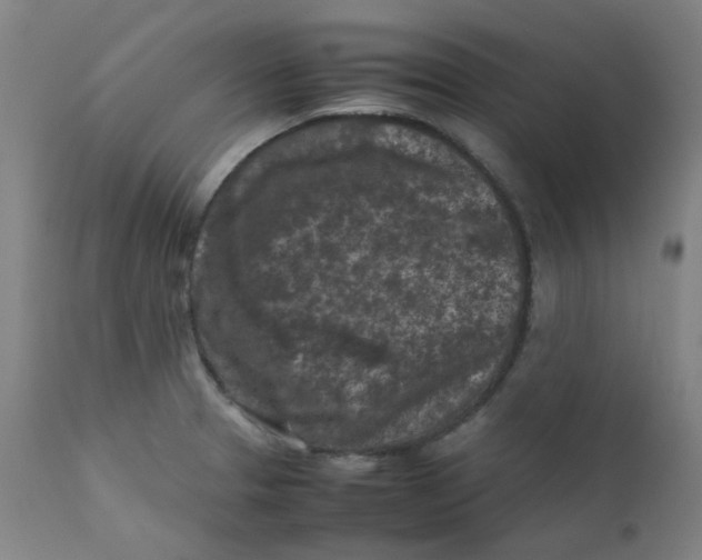 X0000112211329200909041331