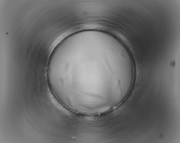 X0000112211330200909041331