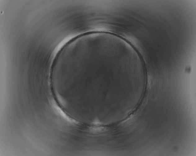 X0000112211331200909041331