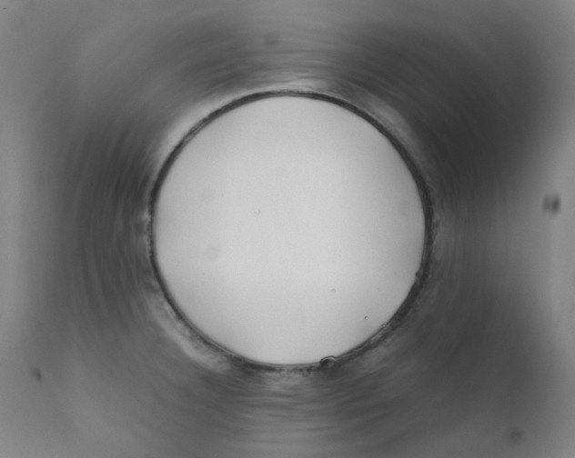 X0000112211332200909041331
