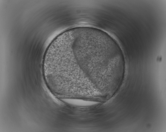 X0000112211333200909041331