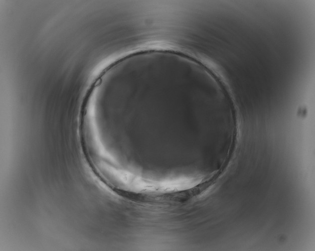X0000112211334200909041331