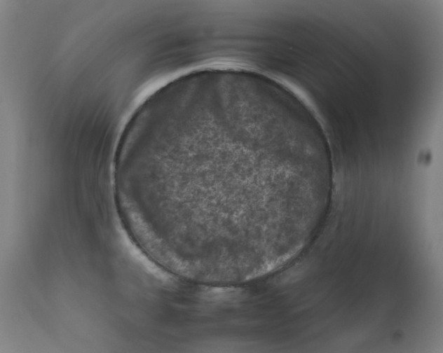 X0000112211335200909041331