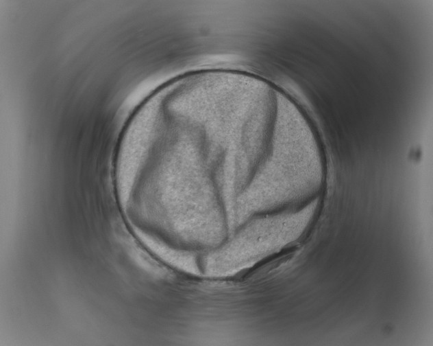 X0000112211336200909041331