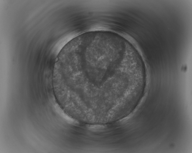 X0000112211337200909041331