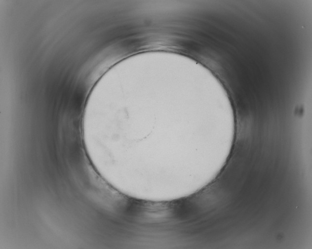 X0000112211338200909041331