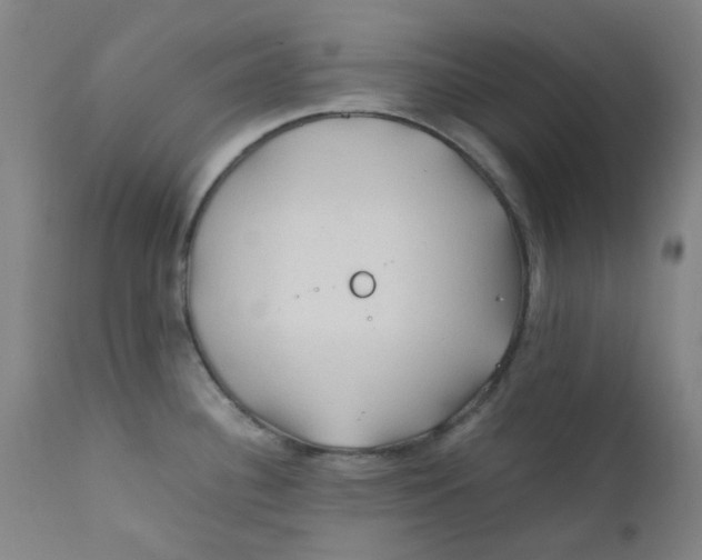 X0000112211340200909041331