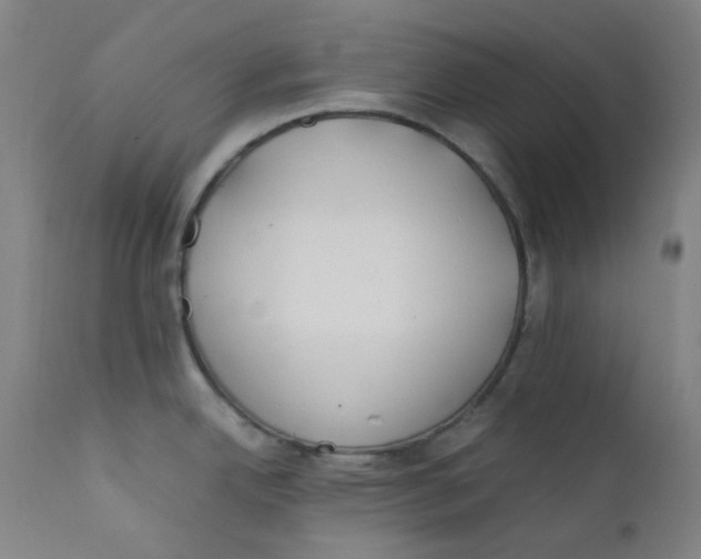 X0000112211342200909041331