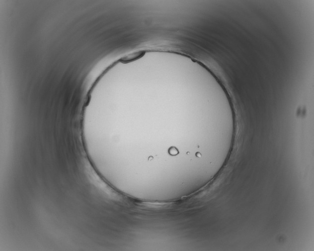 X0000112211344200909041331