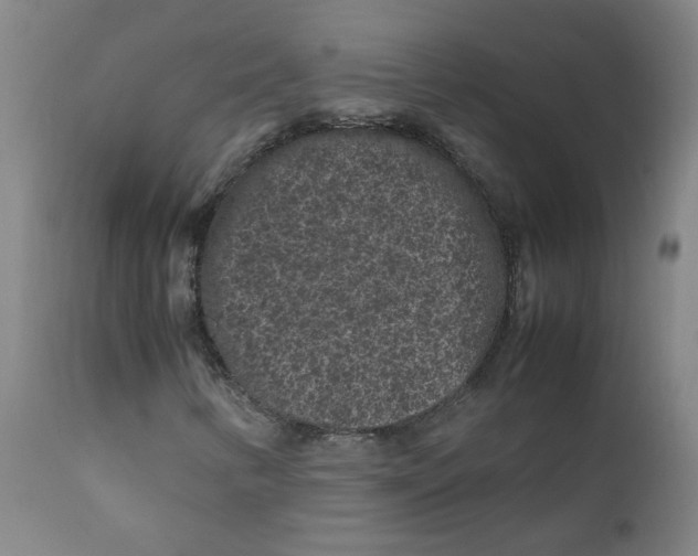 X0000112211346200909041331