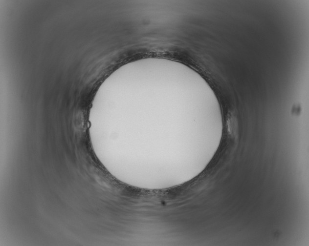 X0000112211347200909041331