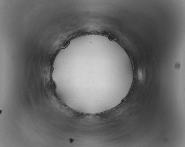 X0000112211348200909041331