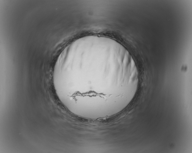 X0000112211349200909041331