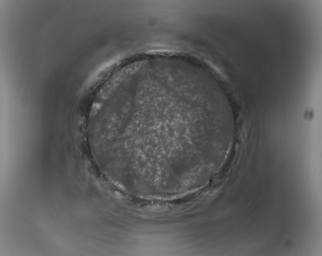X0000112211351200909041331