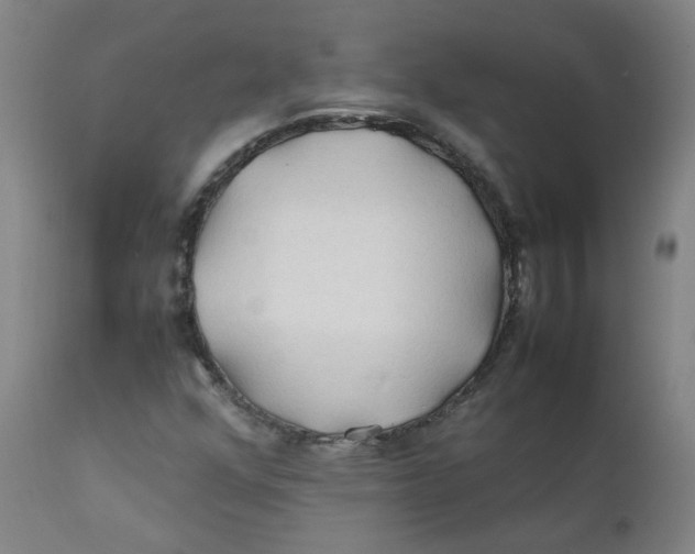 X0000112211352200909041331