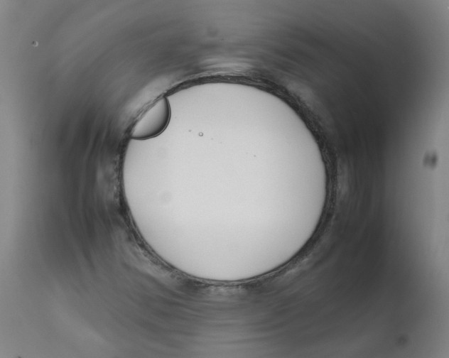 X0000112211354200909041331