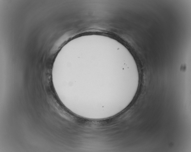 X0000112211355200909041331