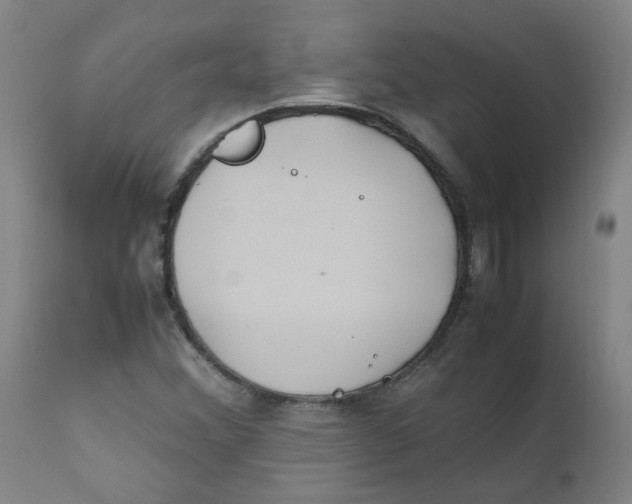 X0000112211356200909041331
