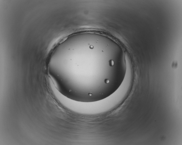 X0000112211357200909041331