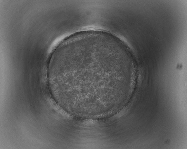 X0000112211358200909041331