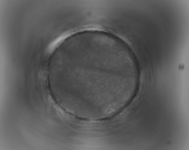 X0000112211359200909041331