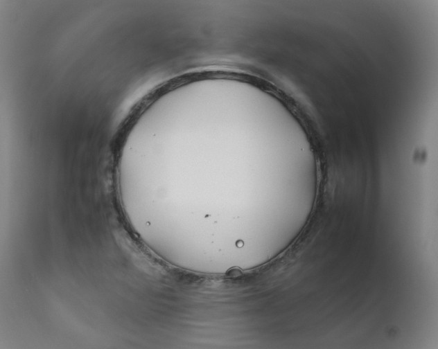 X0000112211360200909041331