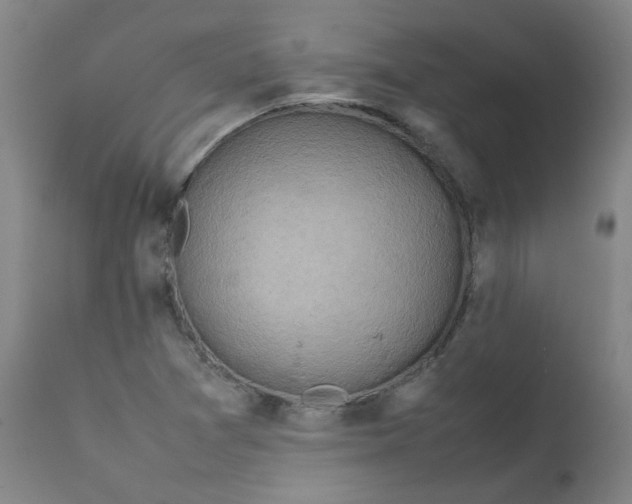 X0000112211361200909041331