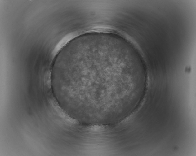X0000112211362200909041331