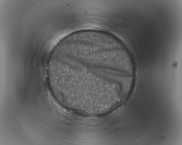 X0000112211363200909041331