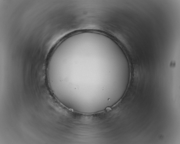 X0000112211364200909041331