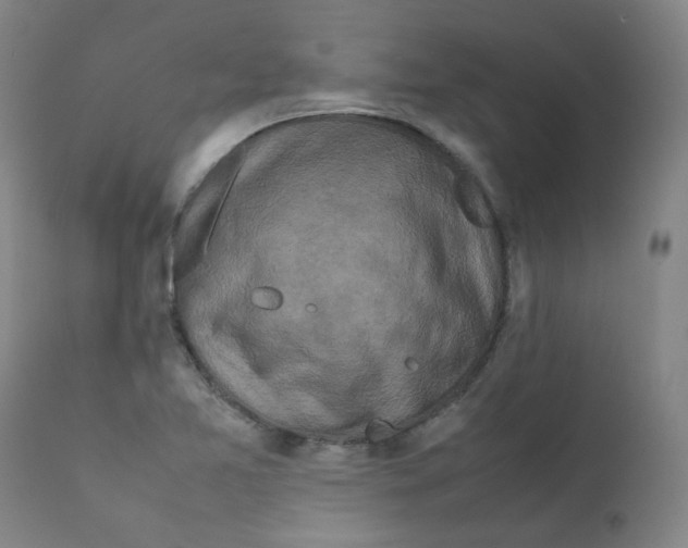 X0000112211365200909041330