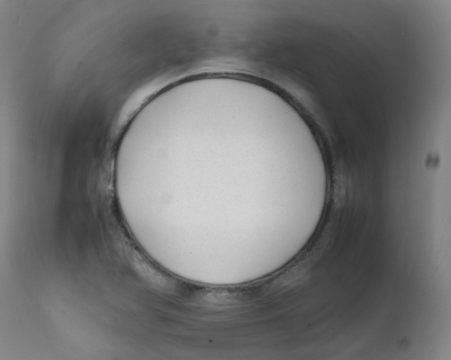 X0000112211366200909041330