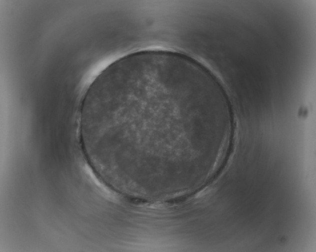 X0000112211367200909041330