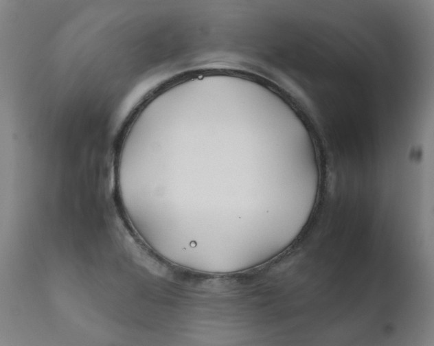 X0000112211368200909041330