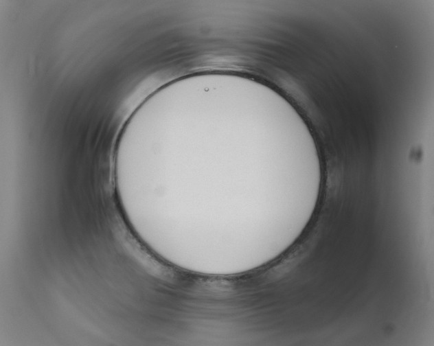 X0000112211370200909041330