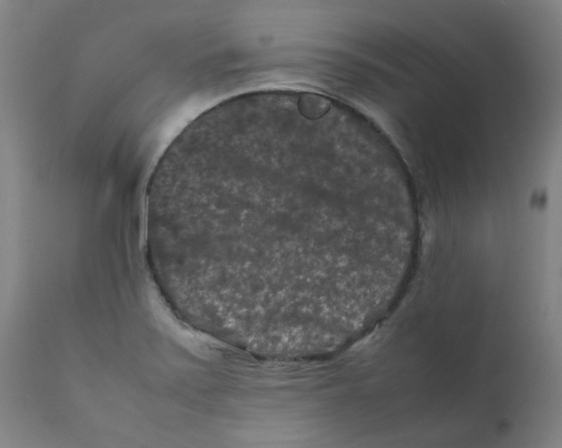 X0000112211371200909041330