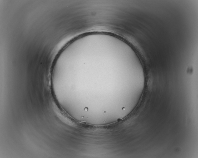 X0000112211372200909041330