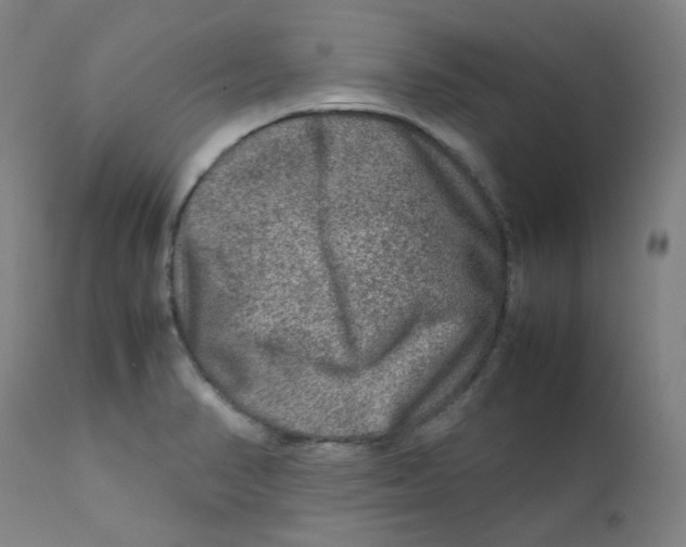 X0000112211374200909041330