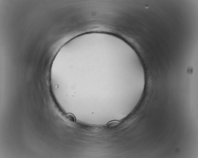 X0000112211375200909041330