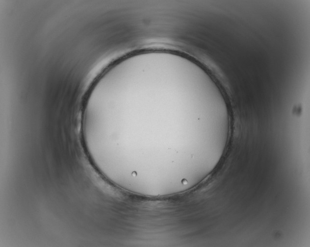 X0000112211376200909041330