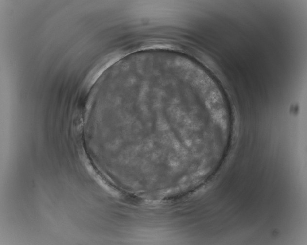 X0000112211377200909041330